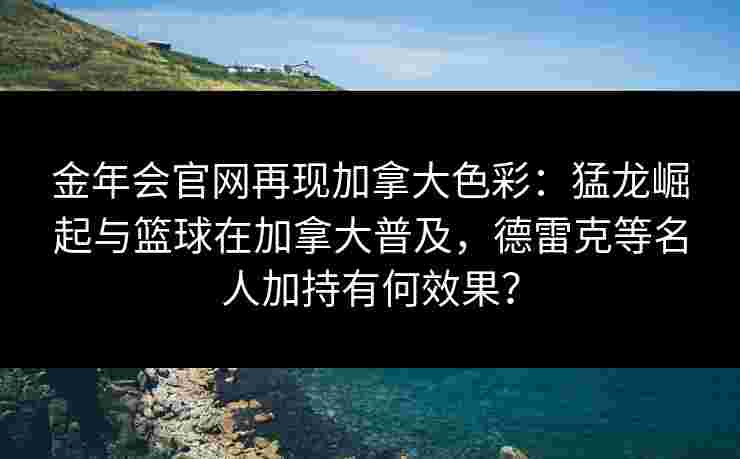 金年会官网再现加拿大色彩：猛龙崛起与篮球在加拿大普及，德雷克等名人加持有何效果？