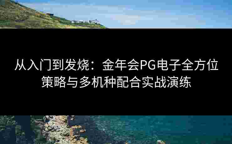 从入门到发烧：金年会PG电子全方位策略与多机种配合实战演练